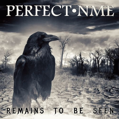 Perfect Nme : Remains to Be Seen